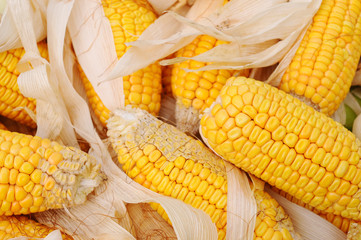 Corn cobs