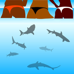 shark and beauty bikini girl