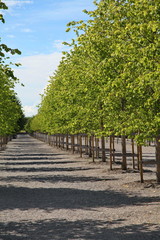 Drottningholm, Stockholm
