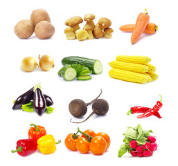 collection vegetables