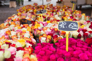 Colorful bouquets of roses  at a market