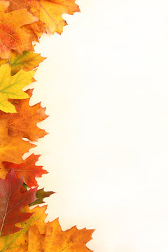 Fototapeta Autumn leaves frame