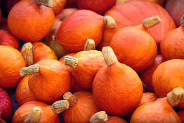 Orange Fall Pumpkins