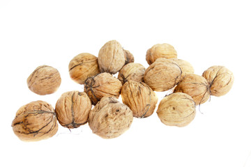 Large, fresh walnuts