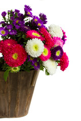 Obraz premium bouquet of aster flowers