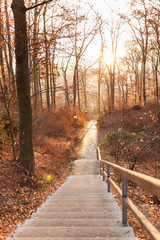 Fototapeta premium Jesienna ścieżka leśna