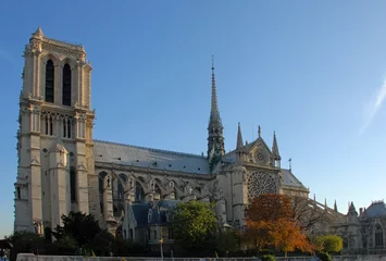 Fotobehang Notre Dame de Paris © cynoclub
