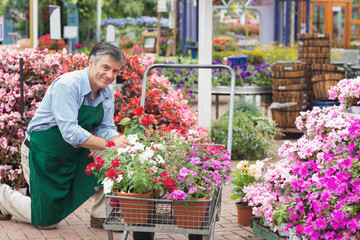 Man putting flowers in trolley