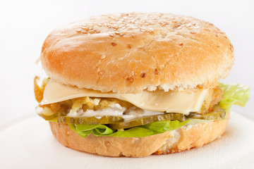 cheeseburger on the plate