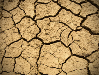 dry land