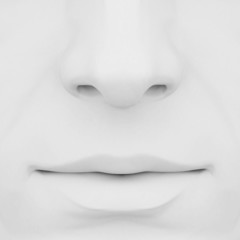 nose and lips 3d