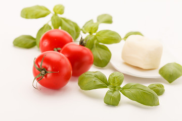 tomatoes and basil