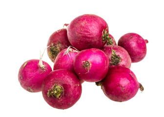 Small garden radish isolated on white background