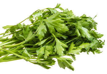 a bunch of parsley on a white background