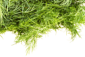 Fresh branches of green dill isolated on white background.