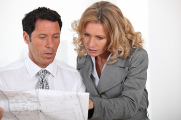 Colleagues with plans