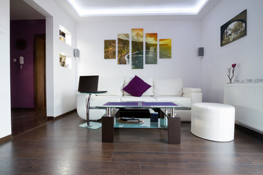 Modern lliving room interior with Cliffs of Moher picture