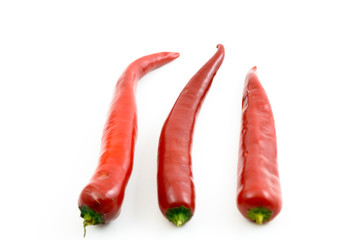 red hot chili peppers