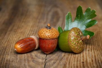 Autumn acorn on wooden table © nevodka.com