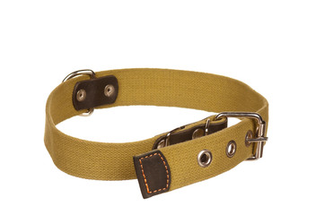 Dog collar