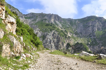sentier de montagne