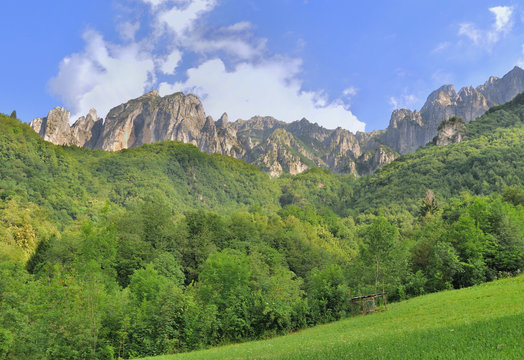 montagnes en fond de collines de feuillus