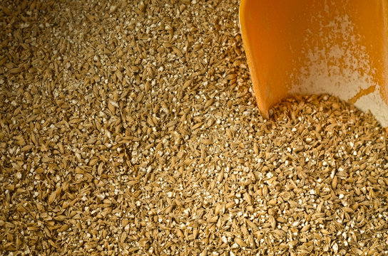 malt d'orge moulu