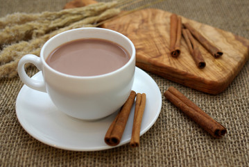 Hot chocolate and cinnamon sticks