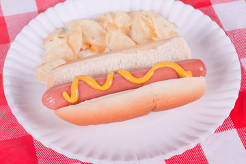 Hot Dog And Potato Chips