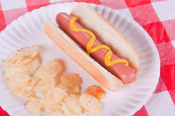 Hot Dog And Chips
