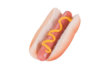 Hot Dog With Mustard