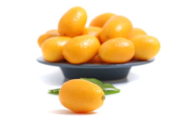 Citrus Kumquat