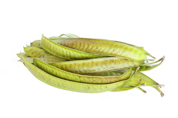 Leucaena leucocephala