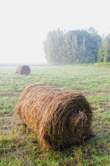 morning landscape with rolling haystack and mist