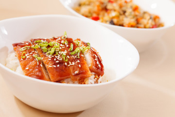 eel on rice,unaju, japanese unagi cuisine