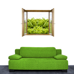 Grüne Couch