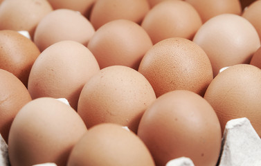 fresh eggs