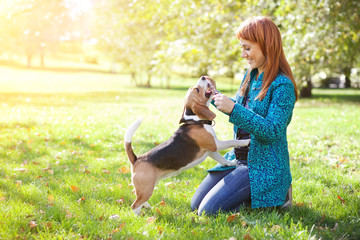 Girl playing with her  dog in autumn park