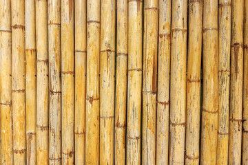 Bamboo wall