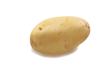 One potato on a white background