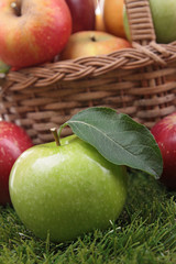 fresh apple and wicker basket