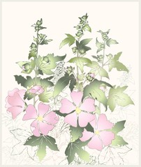Greeting card with mallow.