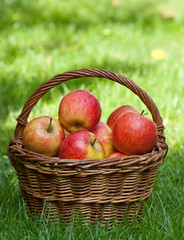 apples