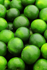 lime citrus fruit