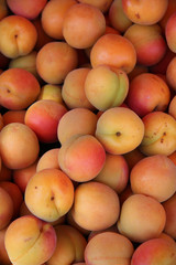 Apricots