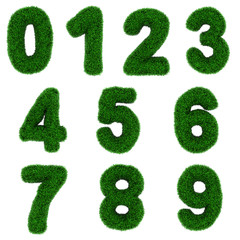 Numbers, made of grass isolated on white background.