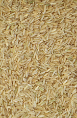 Brown rice seeds