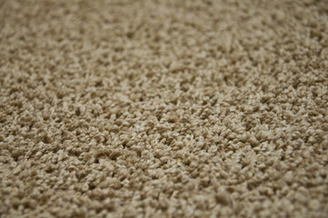 Carpet
