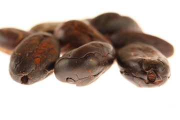 cocoa beans on white background