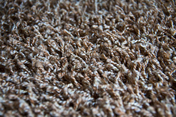 Carpet